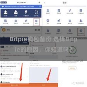 Bitpie钱包备份 选择Bitpie的原因，你知道吗？