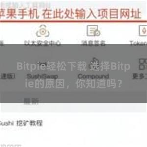 Bitpie轻松下载 选择Bitpie的原因，你知道吗？