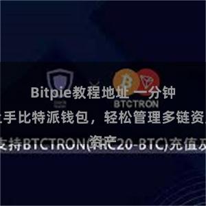 Bitpie教程地址 一分钟上手比特派钱包，轻松管理多链资产