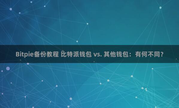 Bitpie备份教程 比特派钱包 vs. 其他钱包：有何不同？