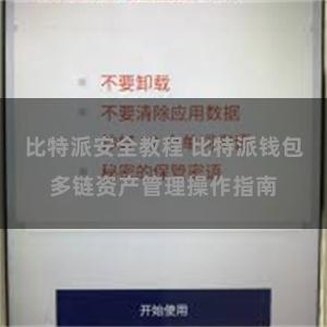 比特派安全教程 比特派钱包多链资产管理操作指南