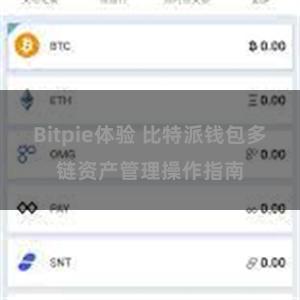 Bitpie体验 比特派钱包多链资产管理操作指南