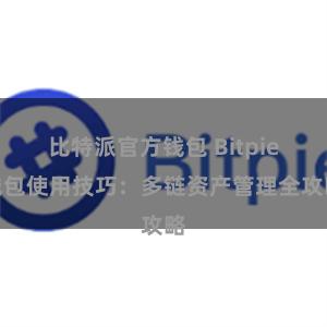 比特派官方钱包 Bitpie钱包使用技巧：多链资产管理全攻略