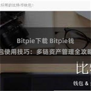 Bitpie下载 Bitpie钱包使用技巧：多链资产管理全攻略