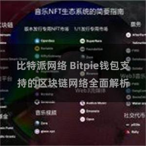 比特派网络 Bitpie钱包支持的区块链网络全面解析