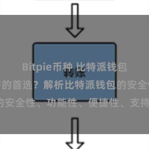 Bitpie币种 比特派钱包为何是专业用户的首选？解析比特派钱包的安全性、功能性、便捷性、支持性等优势。