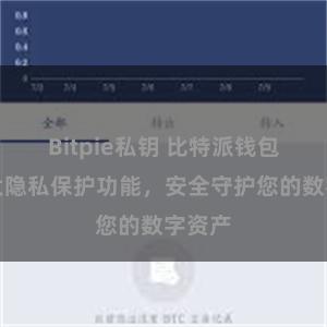 Bitpie私钥 比特派钱包：强大隐私保护功能，安全守护您的数字资产