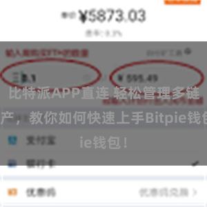 比特派APP直连 轻松管理多链资产，教你如何快速上手Bitpie钱包！