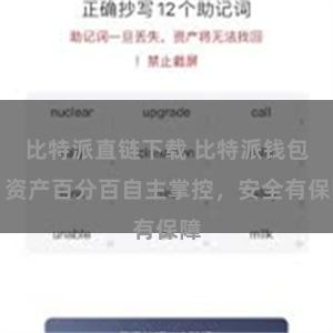 比特派直链下载 比特派钱包：资产百分百自主掌控，安全有保障