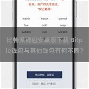 比特派钱包安卓版下载 Bitpie钱包与其他钱包有何不同？