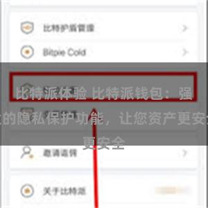 比特派体验 比特派钱包：强大的隐私保护功能，让您资产更安全