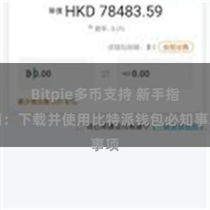 Bitpie多币支持 新手指南：下载并使用比特派钱包必知事项