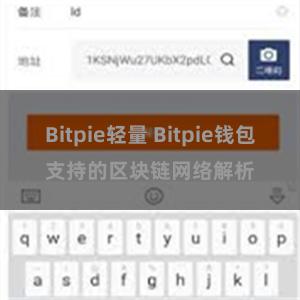 Bitpie轻量 Bitpie钱包支持的区块链网络解析