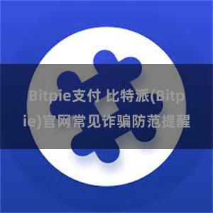 Bitpie支付 比特派(Bitpie)官网常见诈骗防范提醒