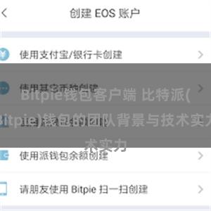 Bitpie钱包客户端 比特派(Bitpie)钱包的团队背景与技术实力