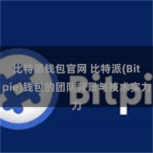 比特派钱包官网 比特派(Bitpie)钱包的团队背景与技术实力