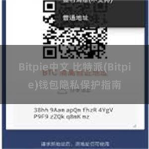 Bitpie中文 比特派(Bitpie)钱包隐私保护指南