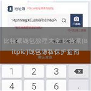 比特派钱包教程大全 比特派(Bitpie)钱包隐私保护指南