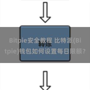 Bitpie安全教程 比特派(Bitpie)钱包如何设置每日限额？