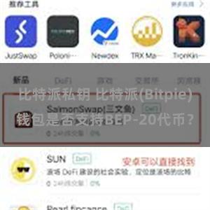 比特派私钥 比特派(Bitpie)钱包是否支持BEP-20代币？