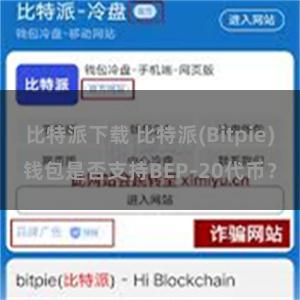 比特派下载 比特派(Bitpie)钱包是否支持BEP-20代币？