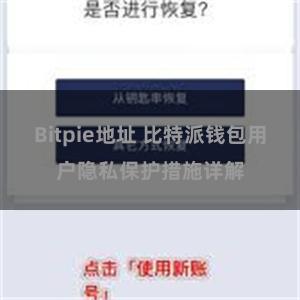 Bitpie地址 比特派钱包用户隐私保护措施详解