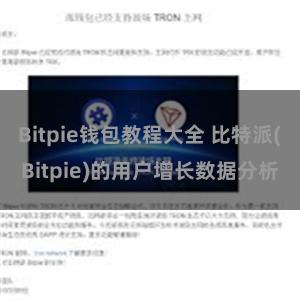 Bitpie钱包教程大全 比特派(Bitpie)的用户增长数据分析